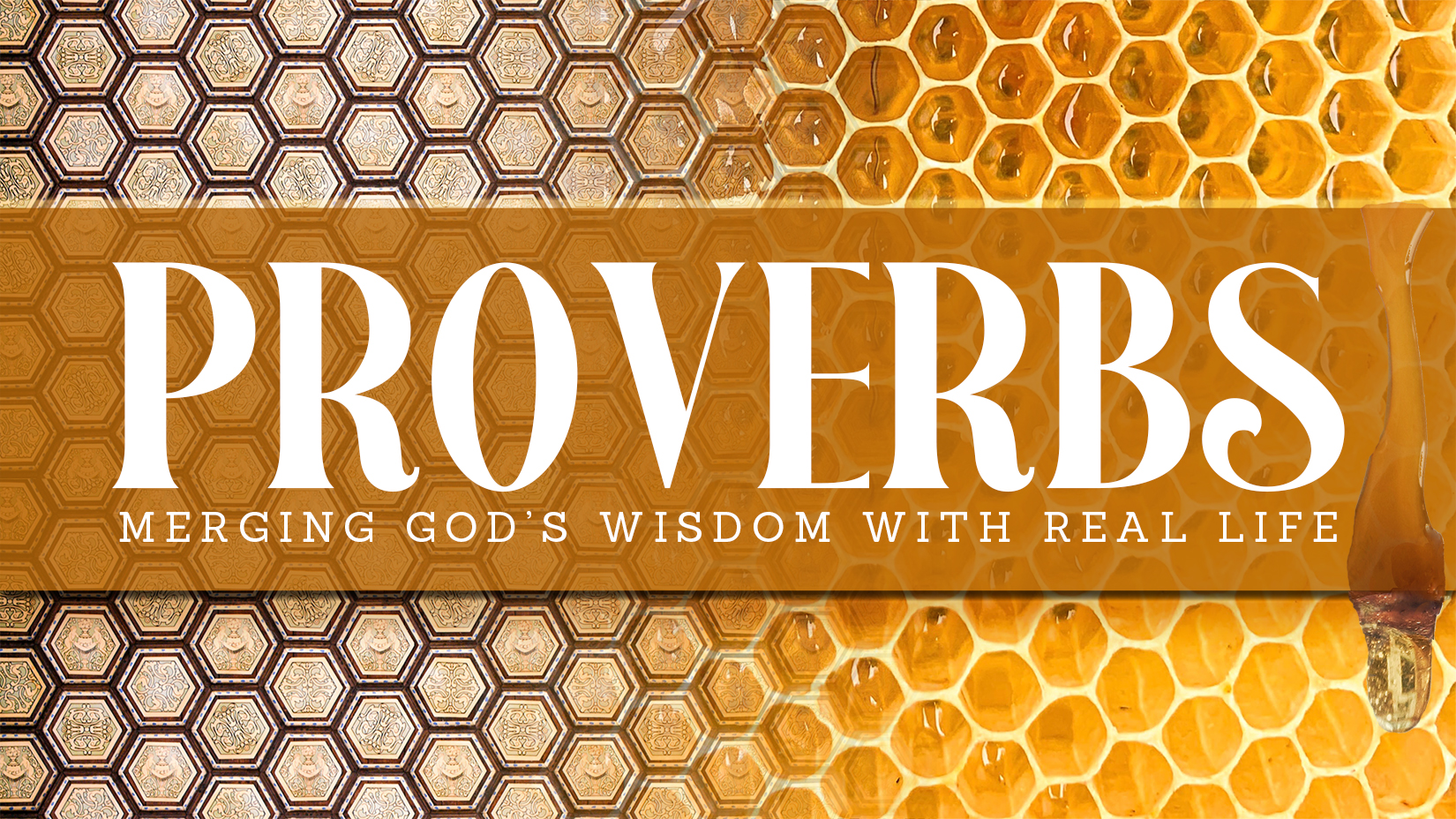 God's Wisdom for My Integrity | LifeWay Church